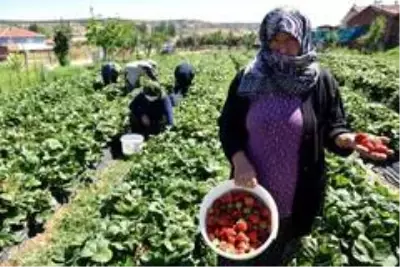 Üretici kadınlar istedi Başkan Ataç destekledi Üretici kadınlar istedi Başkan Ataç destekledi