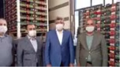Van'da termal seralarda üretilen domatesler Antalya'ya gönderildi Van'da termal seralarda üretilen domatesler Antalya'ya gönderildi