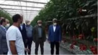 Son dakika haberi: Van'dan Antalya'ya domates Son dakika haberi: Van'dan Antalya'ya domates