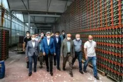 Son dakika haberleri... Van'dan Antalya'ya domates Son dakika haberleri... Van'dan Antalya'ya domates