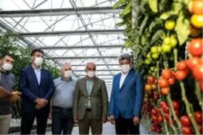 Son dakika haberleri... Van'dan Antalya'ya domates Son dakika haberleri... Van'dan Antalya'ya domates