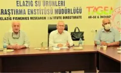 Yılda 110 bin ton bal üretiyoruz, 80 binini tüketiyoruz Yılda 110 bin ton bal üretiyoruz, 80 binini tüketiyoruz