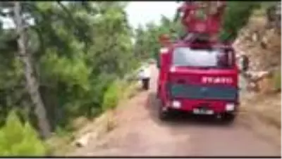 Arı kovanı yüklü kamyonet devrildi Arı kovanı yüklü kamyonet devrildi