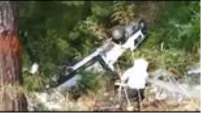 Arı kovanı yüklü kamyonet devrildi Arı kovanı yüklü kamyonet devrildi