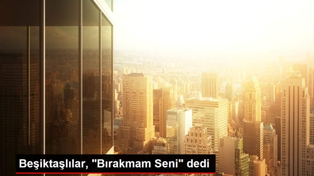 Beşiktaşlılar, Beşiktaşlılar,