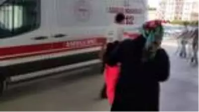 BURSA Akrep sokan küçük Selin, tedaviye alındı BURSA Akrep sokan küçük Selin, tedaviye alındı