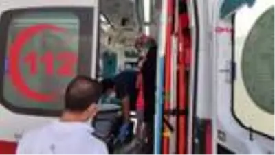 BURSA Akrep sokan küçük Selin, tedaviye alındı BURSA Akrep sokan küçük Selin, tedaviye alındı