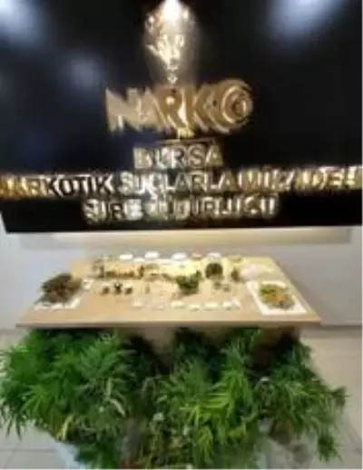 Bursa'da narkotik operasyonunda 6 şüpheli tutuklandı Bursa'da narkotik operasyonunda 6 şüpheli tutuklandı