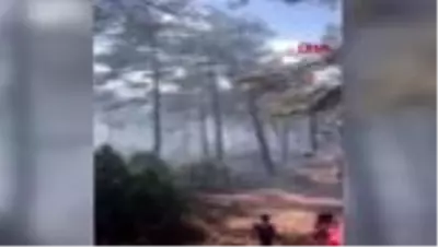 Bursa'daki orman yangınında 5 dönüm alan zarar gördü Bursa'daki orman yangınında 5 dönüm alan zarar gördü