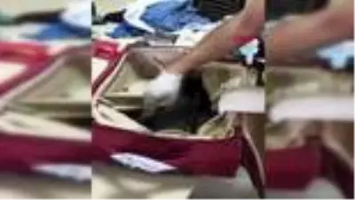 DENİZLİ Bavulun içindeki borularda uyuşturucu çıktı DENİZLİ Bavulun içindeki borularda uyuşturucu çıktı