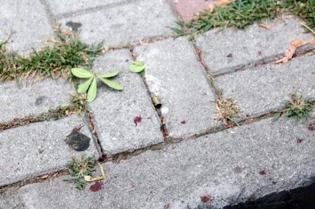 Etiler'de değnekçiler arasındaki otopark kavgası kanlı bitti Etiler'de değnekçiler arasındaki otopark kavgası kanlı bitti
