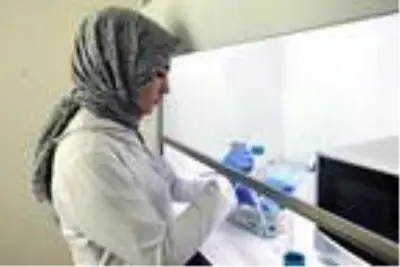 Hastalıklara dayanıklı yerli ve milli patates çeşidi geliştiriliyor Hastalıklara dayanıklı yerli ve milli patates çeşidi geliştiriliyor