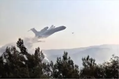 İzmir'deki orman yangını kontrol altında İzmir'deki orman yangını kontrol altında