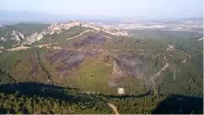 İzmir'deki orman yangını kontrol altında İzmir'deki orman yangını kontrol altında