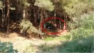 Kan donduran olay! Baba ile kızının cansız bedenleri farklı ilçelerde ağaca asılı bulundu Kan donduran olay! Baba ile kızının cansız bedenleri farklı ilçelerde ağaca asılı bulundu