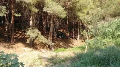 Kan donduran olay! Baba ile kızının cansız bedenleri farklı ilçelerde ağaca asılı bulundu Kan donduran olay! Baba ile kızının cansız bedenleri farklı ilçelerde ağaca asılı bulundu