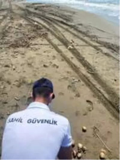 Karataş sahiline vuran yüzlerce soğan görenleri şaşırttı Karataş sahiline vuran yüzlerce soğan görenleri şaşırttı