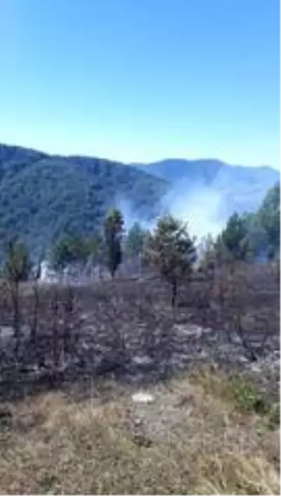 Kastamonu'da ormanlık alanda çıkan yangını köylüler söndürdü Kastamonu'da ormanlık alanda çıkan yangını köylüler söndürdü