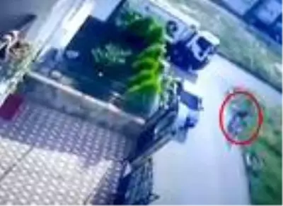 Kazada ölen Minik Ebrar'ın annesi: Ben yerde yatarken şoför üstümden atlayıp, kaçtı Kazada ölen Minik Ebrar'ın annesi: Ben yerde yatarken şoför üstümden atlayıp, kaçtı