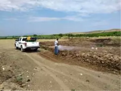 Manisa'da haşereyle mücadele çalışmaları aralıksız devam ediyor Manisa'da haşereyle mücadele çalışmaları aralıksız devam ediyor