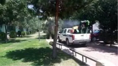 Manisa'da haşereyle mücadele çalışmaları aralıksız devam ediyor Manisa'da haşereyle mücadele çalışmaları aralıksız devam ediyor