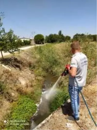 Manisa'da haşereyle mücadele çalışmaları aralıksız devam ediyor Manisa'da haşereyle mücadele çalışmaları aralıksız devam ediyor