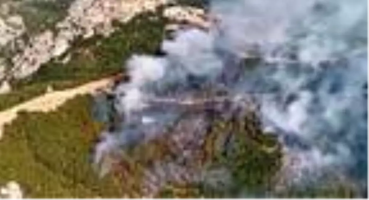 Menderes'te, ağaçlandırma sahasında yangın (2)