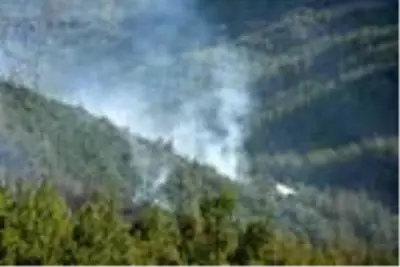 Menderes'te, ağaçlandırma sahasında yangın (3) Menderes'te, ağaçlandırma sahasında yangın (3)