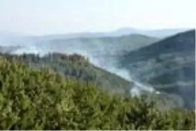 Menderes'te, ağaçlandırma sahasında yangın (3) Menderes'te, ağaçlandırma sahasında yangın (3)
