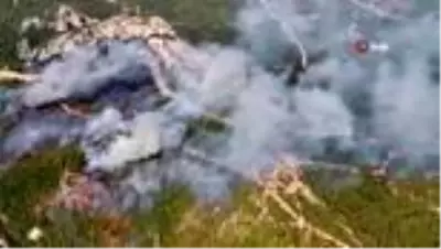 İzmir'de orman yangını çıktı! Yangına havadan ve karadan müdahale ediliyor İzmir'de orman yangını çıktı! Yangına havadan ve karadan müdahale ediliyor