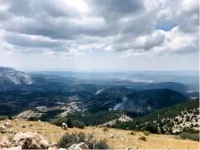 Muğla'da orman yangını Muğla'da orman yangını