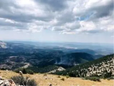 Muğla'da orman yangını Muğla'da orman yangını