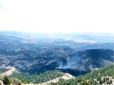 Muğla'da orman yangını Muğla'da orman yangını