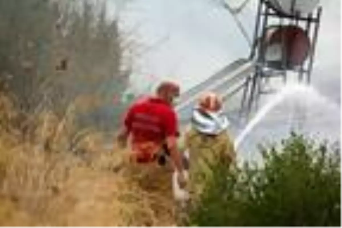 Ocakta unutulan yemek yangın çıkardı, mahsur kalan kedileri vatandaş kurtardı