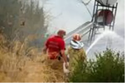 Ocakta unutulan yemek yangın çıkardı, mahsur kalan kedileri vatandaş kurtardı Ocakta unutulan yemek yangın çıkardı, mahsur kalan kedileri vatandaş kurtardı