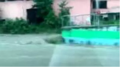 Rize'de şiddetli yağış yolları göle çevirdi Rize'de şiddetli yağış yolları göle çevirdi