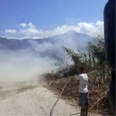 Samandağ'da sazlık yangını Samandağ'da sazlık yangını