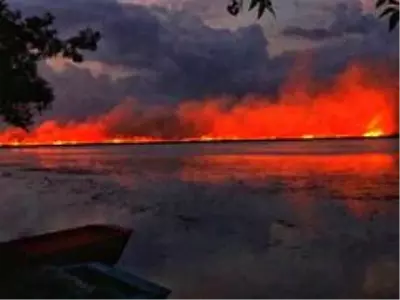 Samsun'da sazlık yangını Samsun'da sazlık yangını