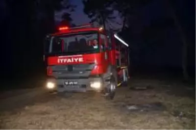 Samsun'da sazlık yangını Samsun'da sazlık yangını