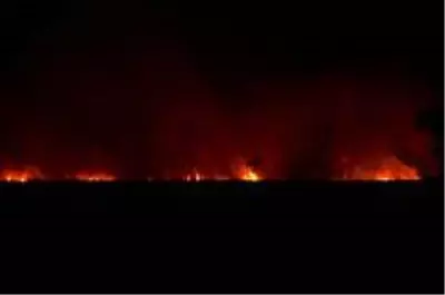 Samsun'da sazlık yangını Samsun'da sazlık yangını