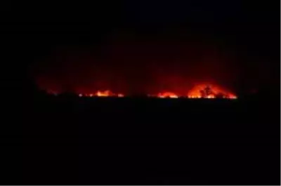 Samsun'da sazlık yangını Samsun'da sazlık yangını