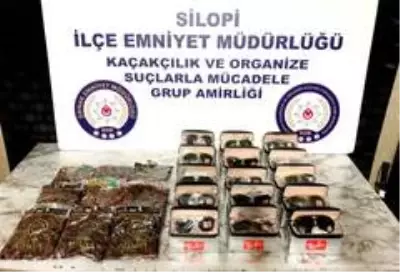 Şırnak emniyetinden terörün finans kaynağına büyük darbe Şırnak emniyetinden terörün finans kaynağına büyük darbe