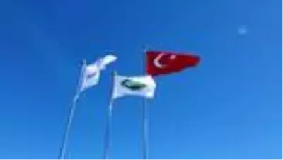 SÜTAŞ'ın sağmal inekleri Bingöl'deki çiftliklere getirildi SÜTAŞ'ın sağmal inekleri Bingöl'deki çiftliklere getirildi
