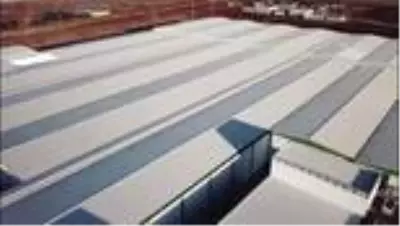 SÜTAŞ'ın sağmal inekleri Bingöl'deki çiftliklere getirildi SÜTAŞ'ın sağmal inekleri Bingöl'deki çiftliklere getirildi