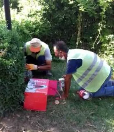Yavru kedileri temizlik işçilerinin dikkati kurtardı Yavru kedileri temizlik işçilerinin dikkati kurtardı