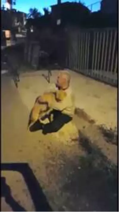 3 aydır kayıp köpeğiyle kavuşma anı duygulandırdı 3 aydır kayıp köpeğiyle kavuşma anı duygulandırdı