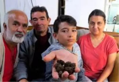 Toprağı kazan vatandaş, dünyanın en pahalı 'trüf' mantarını buldu Toprağı kazan vatandaş, dünyanın en pahalı 'trüf' mantarını buldu