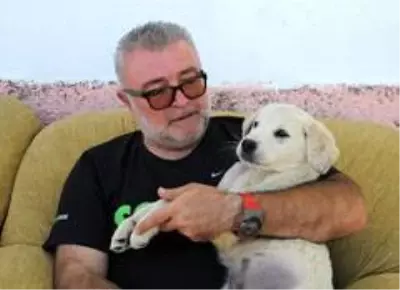 Atın tekmesiyle yaralanan sevimli dostuna baba şefkati ile bakıyor Atın tekmesiyle yaralanan sevimli dostuna baba şefkati ile bakıyor