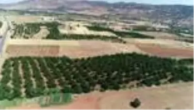 Son dakika güncel: Babadan kalma 500 kayısı ağacına özenle bakarak örnek kadın çiftçi oldu (2) Son dakika güncel: Babadan kalma 500 kayısı ağacına özenle bakarak örnek kadın çiftçi oldu (2)