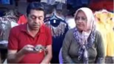 Burdur'da ebabil kuşunun yardımına muhtar eşi koştu Burdur'da ebabil kuşunun yardımına muhtar eşi koştu